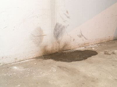 Professional black mold removal services in Coppell - Black Mold Removal Coppell